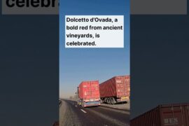 Ovada's trails: What celebrated wine is made here?