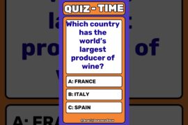 🍷🌍 Which Country Produces the Most Wine? 🤯 #shorts #quiz