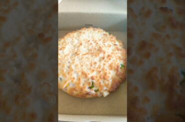 Aaj toh cheese pizza ka order aaya 🍕🍕😃😃 #pizza #foodie #viral