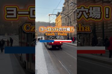 【ヨーロッパの穴場！チェコ・プラハ🇨🇿にあるグルメ特集！】