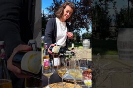 Frascati DOC: Where Roman Wine Actually Comes From