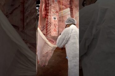 Japan’s #1 Burger 🍔 Ranked #17 in the World