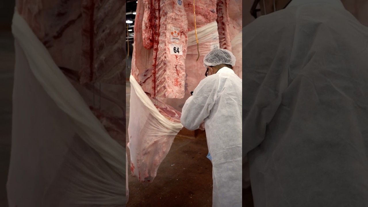 Japan’s #1 Burger 🍔 Ranked #17 in the World Japan’s #1 Burger 🍔 Ranked #17 in the World