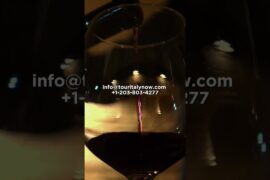 Italy Best Wine Regions #italy #vacation #travel #shorts #wine