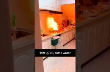 🦀😂 Omg 😱 YOU ALL need to watch this cooking 🧑‍🍳 Fail 🍳 Video 🥘 there alive 🐟 haha😅 #Vegan