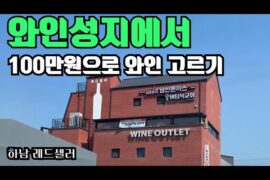 와인성지에서 100만원 와인 고르기 (하남 레드셀러)