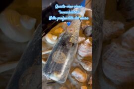 Wine 🍷#viralvideo #travel #italy #unboxing #perte #shorts