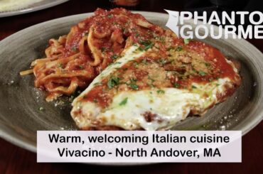 Vivacino - North Andover, MA