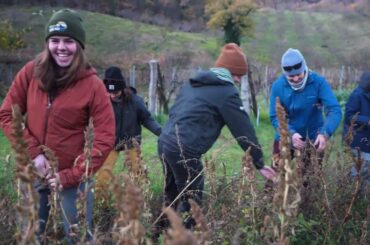 A First-Hand Focus on Food and Sustainability in Italy