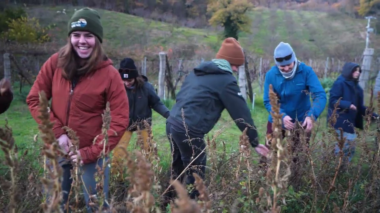 A First-Hand Focus on Food and Sustainability in Italy A First-Hand Focus on Food and Sustainability in Italy