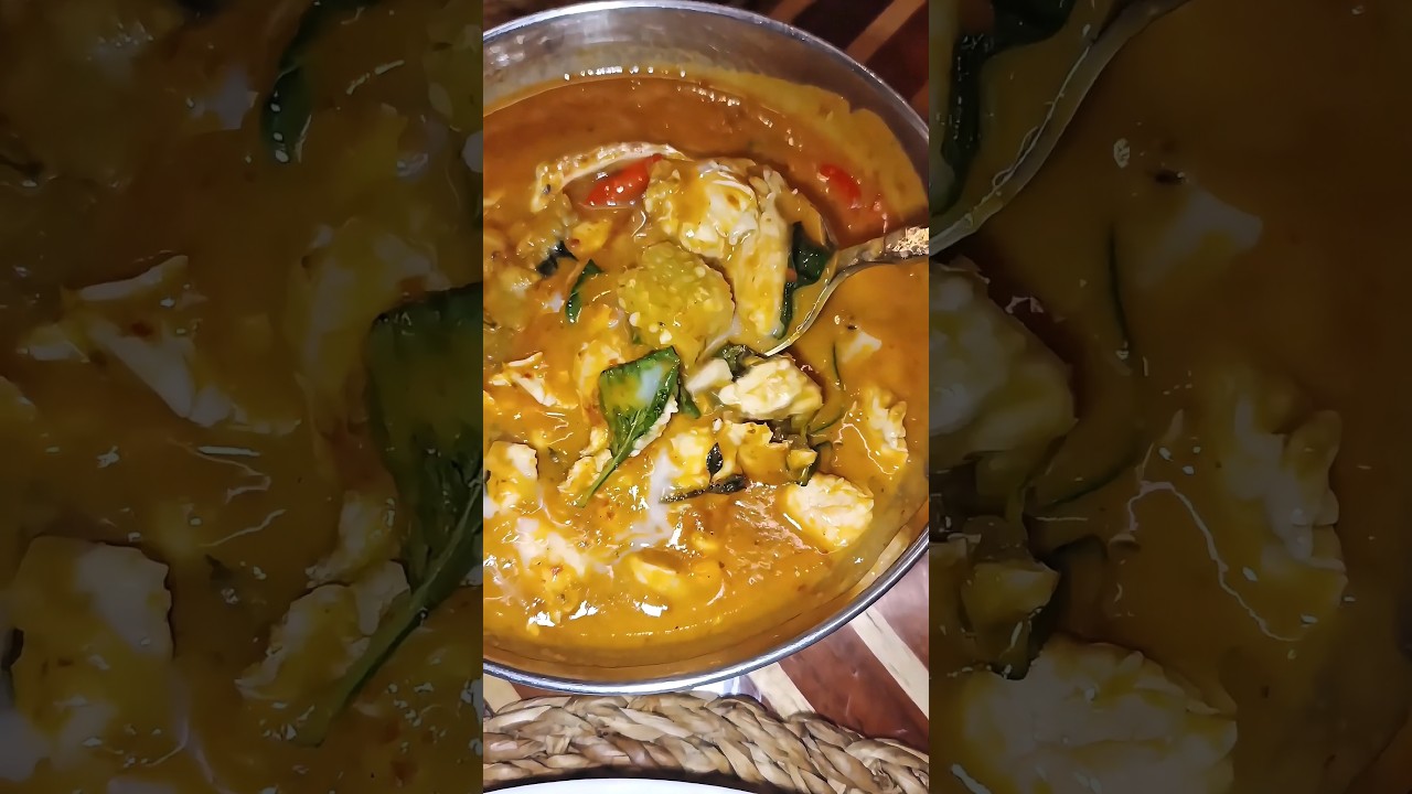 Fancy restaurant Thai chicken curry fine dining #food #shorts #viral #italy #thailand #chicken Fancy restaurant Thai chicken curry fine dining #food #shorts #viral #italy #thailand #chicken