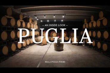 Exploring Southern Italy | Wine Tasting & Vineyard Tour in Puglia