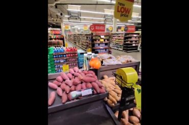 Just Shopping 🛒 My Friend the Butcher Hooks Me Up | Italian Food Vlog