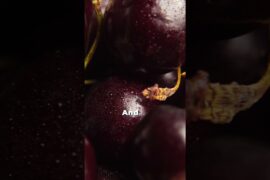 This Bold Italian Red Overdelivers for the Price