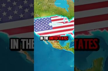 Americans Love Pizza ft. The Fat Electrician #podcast #usarmy