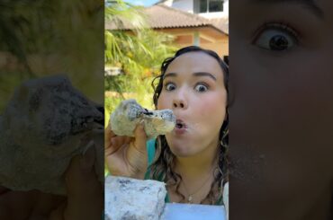 PALHA ITALIANA #receitas