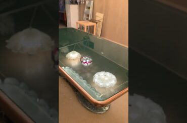 Lot. 110 Mid-Century Italian Dining Table by Vittorio Dassi, c.1940s