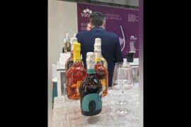 Gruppo Martellozzo - Vinitaly #vinitaly #annamariadepasquale #gruppomartellozzo #wine #italy