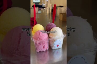 Italian Ice in Chicago 😍🧊🇮🇹