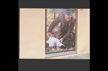 The wine shop that used to be a church