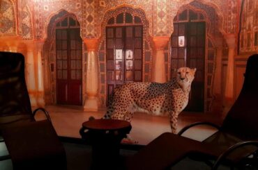 Hotel Astoria, Rapallo, Italy | Holidays In Italy