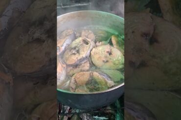 Sinaing na tambakol para sa hapunan #subscribers #cooking