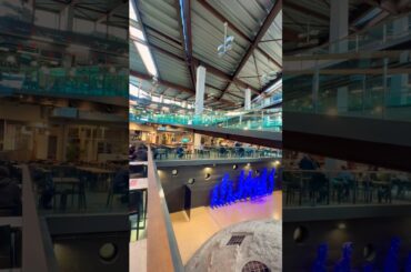 Mercado Central em Turim 🇮🇹 #turin #foodmarket #italy #food