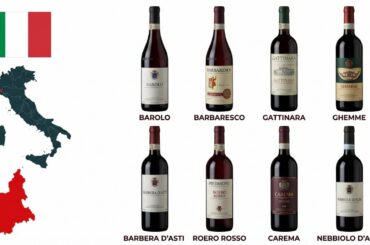 Every ITALIAN Red Wine from PIEDMONT Explained