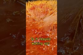 Discover Italian authentic cuisine - Puglia time