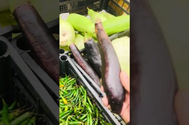 Italy 2026 #italy #rome #market #travel #food #europe #bangladeshi #vairal #content #foodreview