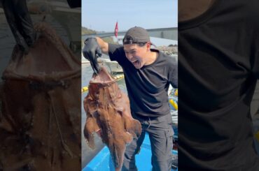 It Bit Me… So I Ate It