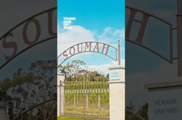 This Is Not Your Average Yarra Valley Cellar Door.