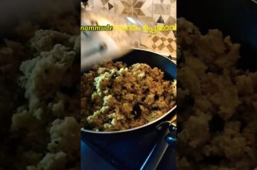 😀salt mango tree🥰 ഉപ്പ്മാ #saltmangotree#food #italy#fyp