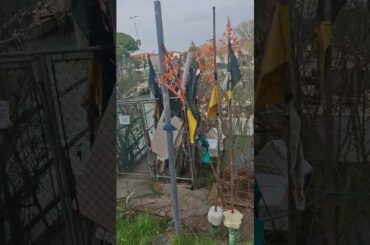 Италия lido di Jesolo Cortelazzo ресторан морепродуктов Италии