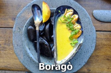 A pranzo nel ristorante più strano del Cile: da BORAGO' dello chef RODOLFO GUZMAN