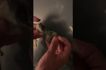 #cooking #pasta #live #lifeisbutadream #travel #italy #food #travelblogger #dessert