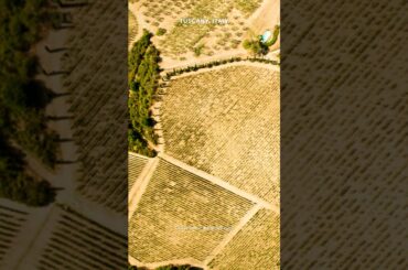 Tuscany, Italy — Pure Vibes Escapes