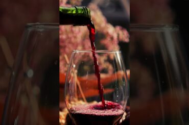 Exclusive Tuscany Wine Tour: Chianti, Montalcino & Bolgheri