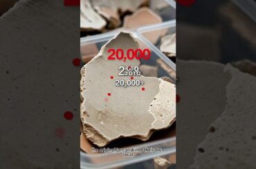 They Found Wine Residue Inside British Pots From 100 BC. The Wine Wasn't British.