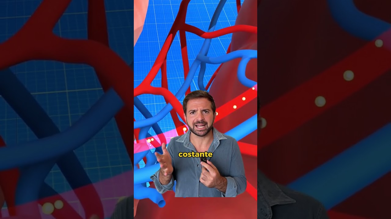 SCOPRI COSA SUCCEDE SE ASSUMI UN CUCCHIAIO DI SEMI DI CHIA AL GIORNO! SCOPRI COSA SUCCEDE SE ASSUMI UN CUCCHIAIO DI SEMI DI CHIA AL GIORNO!