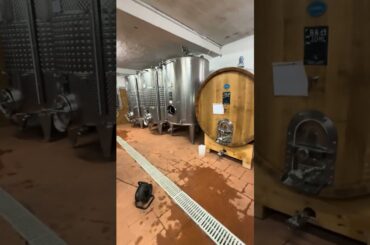 wine farm internal view .. this is how look ❤️ like wine farm.