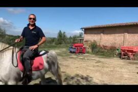 Enjoy our 🐴back riding wine tour in Tuscany