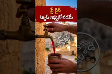 Italy Background and Facts || Pakkodilolli