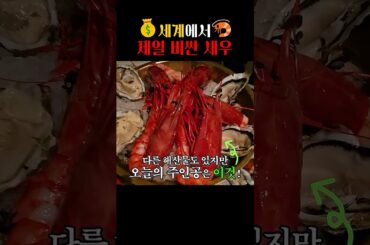 세상에서 가장 비싼 거대 새우🦐