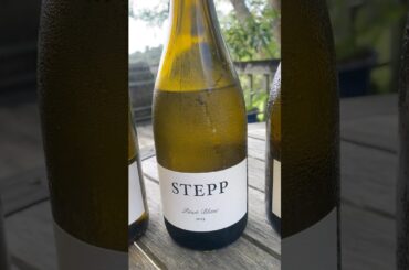 Tasting the Wines of Gerd Stepp - A range of Modern, Minimal-Intervention Wines from the Rheinpfalz