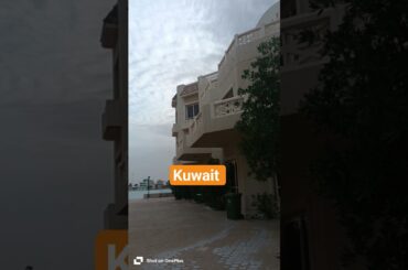 kuwai को माया #shortvideo #food #funny #kuwait #funny #italianrecipes