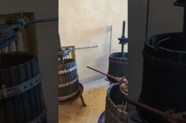 Qui il vino nasce davvero 🍇 Castelvetro