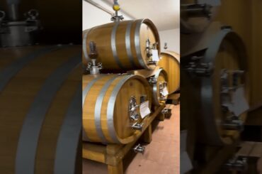 wine farm..have you ever seen wine farm…. FOLLOW MORE