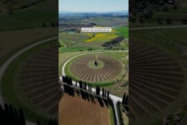 Montepulciano, Tuscany: Italy’s First DOCG Wine, Free Underground Cellars and Hidden History