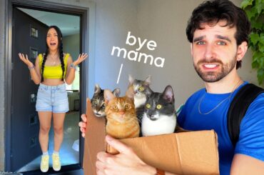 I'm Moving Out... and Taking OUR CATS (sad...)